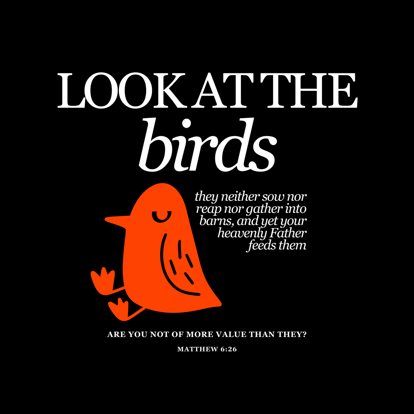 Look at the Birds (Black) Oversized T-Shirt