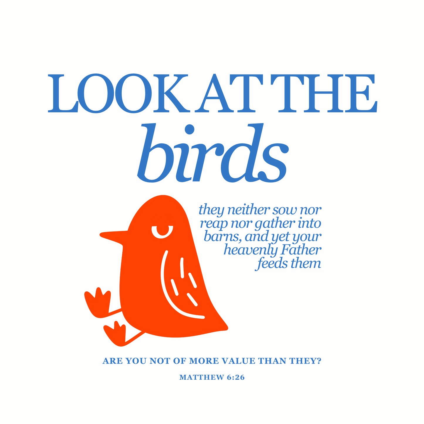 Look at the Birds (White) Oversized T-Shirt