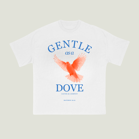 Gentle as a Dove (White) Oversized T-Shirt