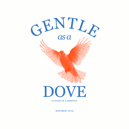 Gentle as a Dove (White) Oversized T-Shirt